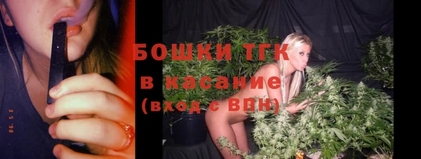 гашик Арсеньев