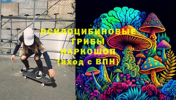 гашик Арсеньев