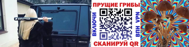 Псилоцибиновые грибы ЛСД  hydra ONION  Тейково 